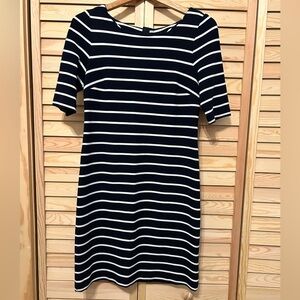 Banana Republic True Navy Stripe Dress